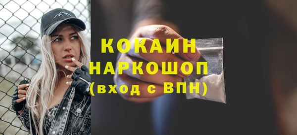 хмурый Алзамай