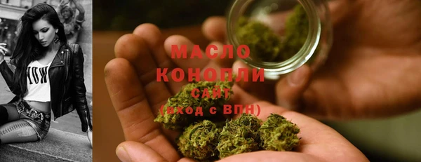 мет Алексин