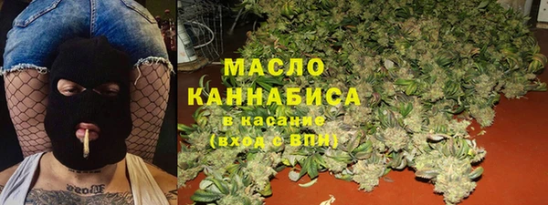 мет Алексин