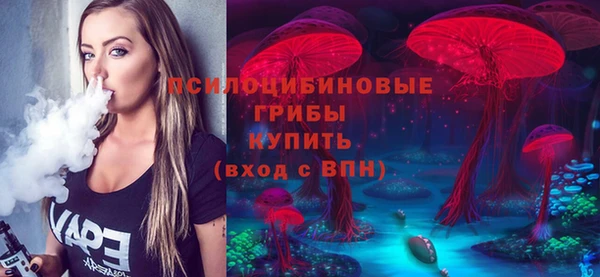 мет Алексин