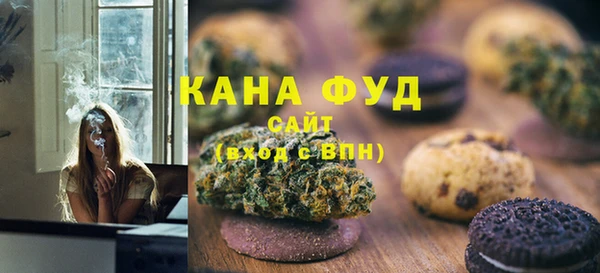 хмурый Алзамай