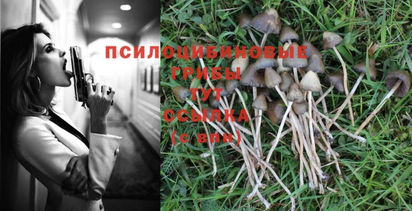 хмурый Алзамай