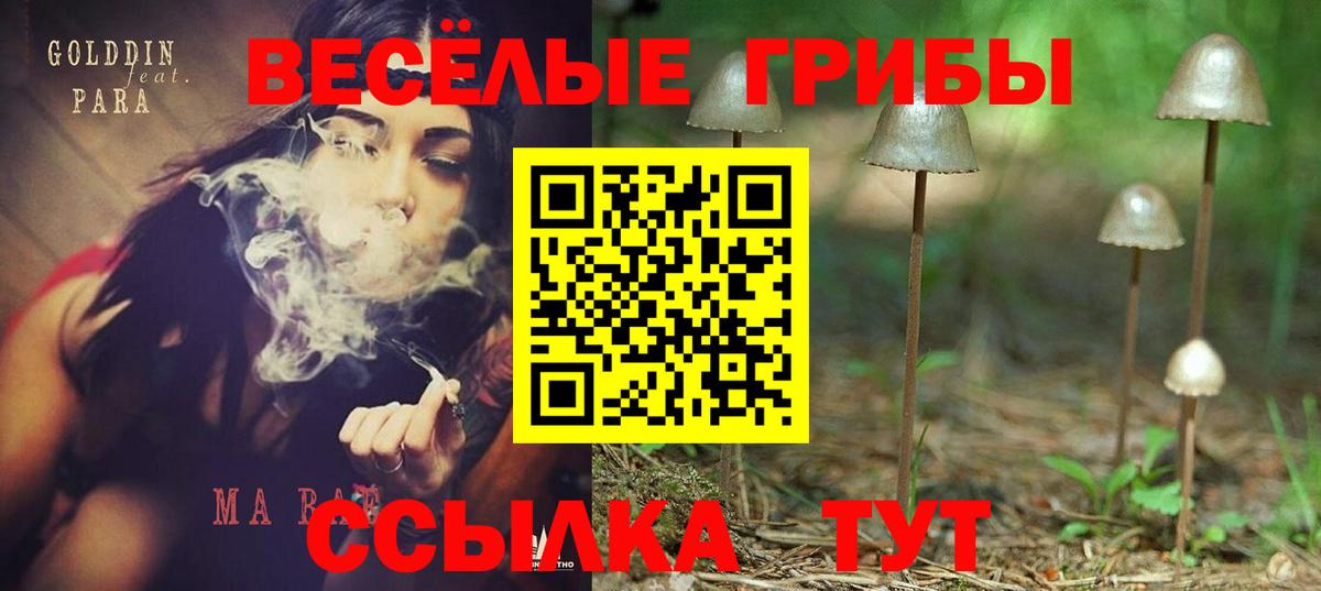 Нововоронеж  Галлюциногенные грибы мухоморы  Вход с VPN  Галлюциногенные грибы Cubensis 